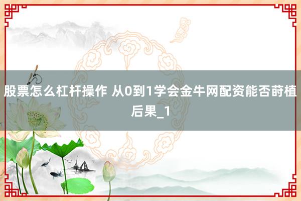 股票怎么杠杆操作 从0到1学会金牛网配资能否莳植后果_1