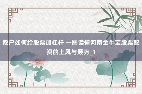 散户如何给股票加杠杆 一图读懂河南金牛宝股票配资的上风与颓势_1